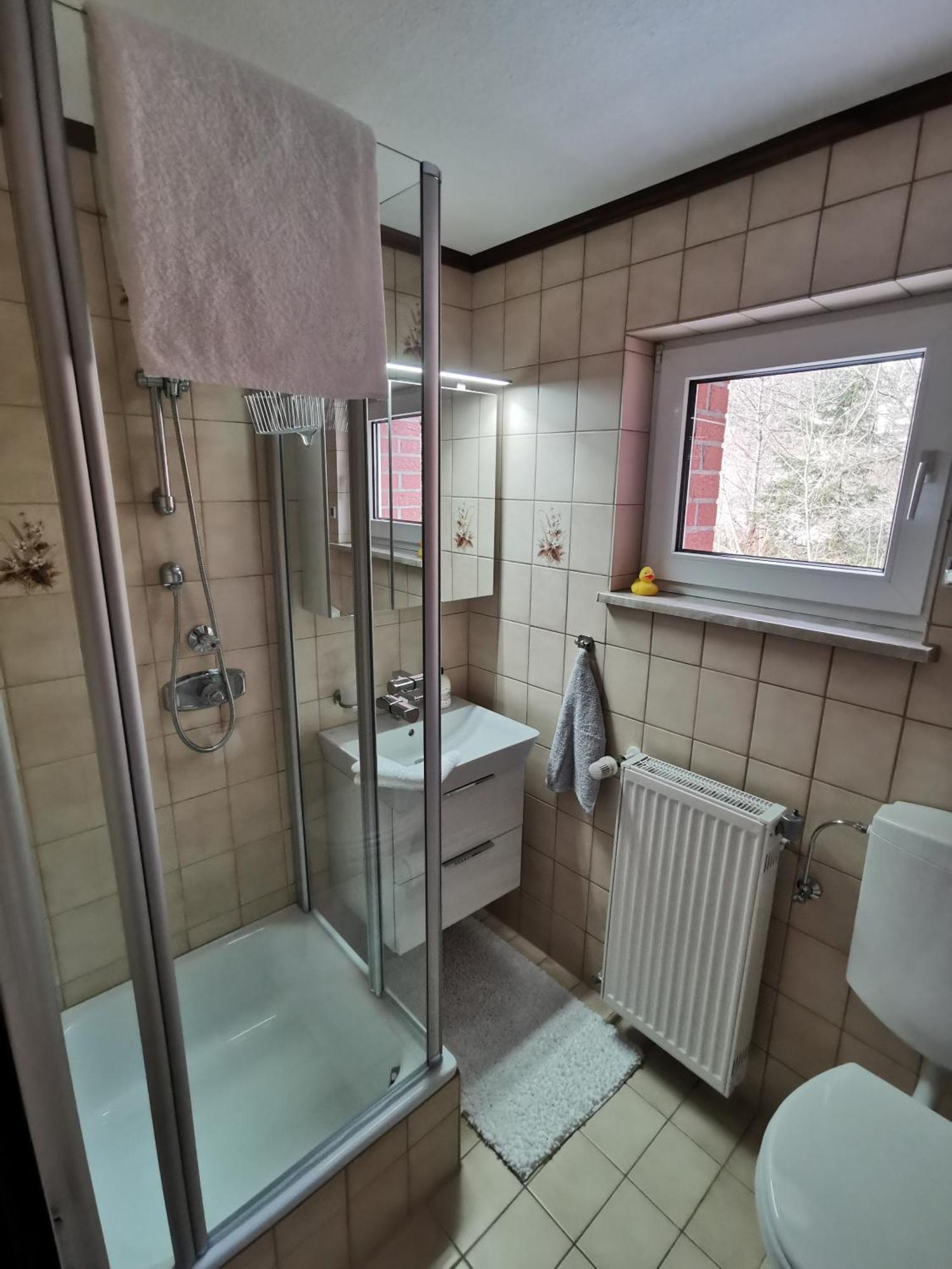 Ferienhaus Aanthuus Brilon Ngoại thất bức ảnh